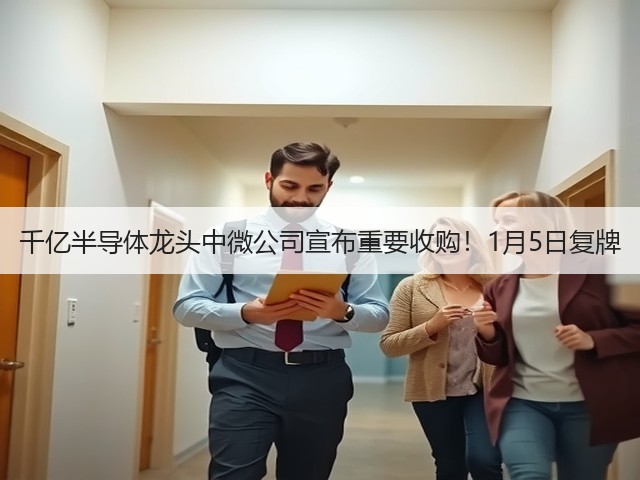 千亿半导体龙头中微公司宣布重要收购！1月5日复牌(图2)
