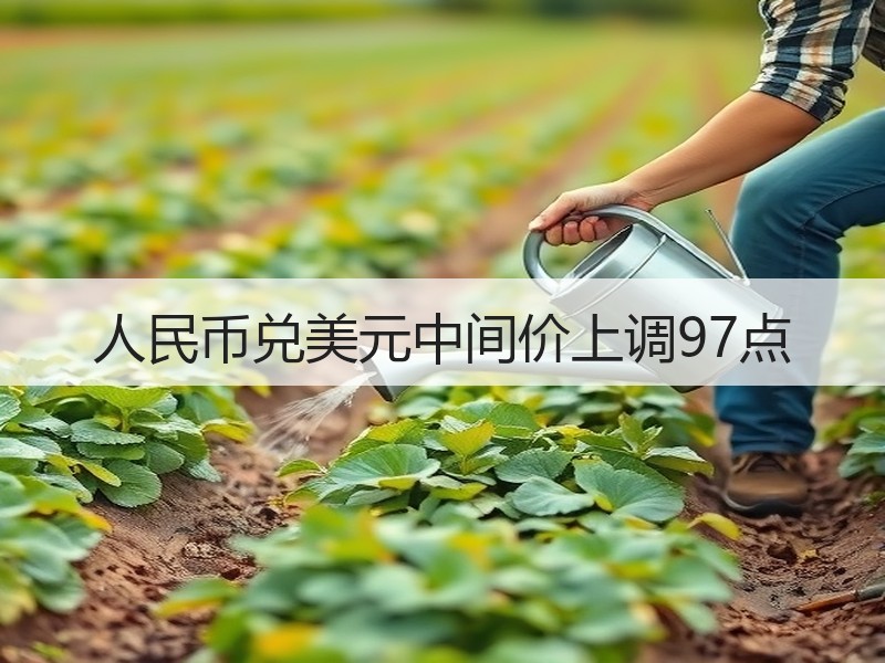 人民币兑美元中间价上调97点