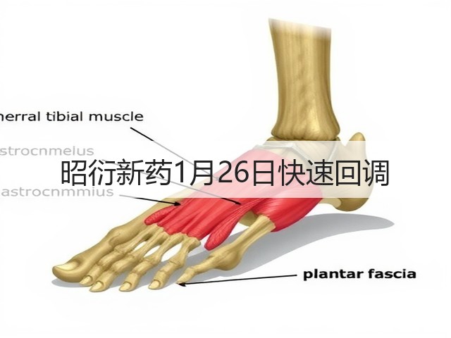 昭衍新药1月26日快速回调(图1)