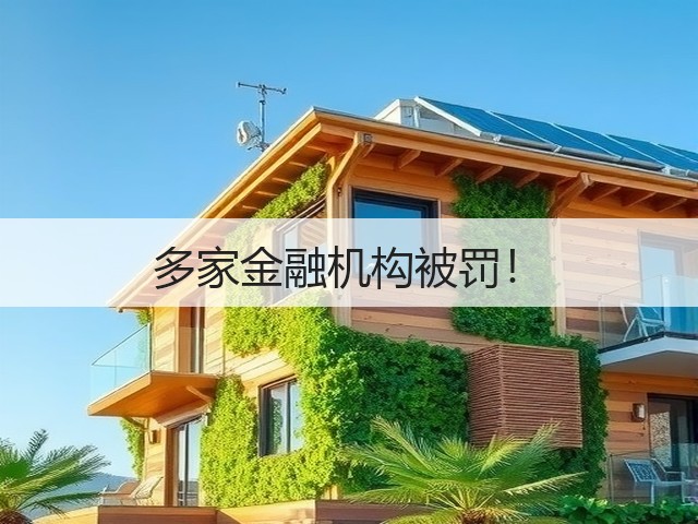多家金融机构被罚!(图2) 多家金融机构被罚!(图2)