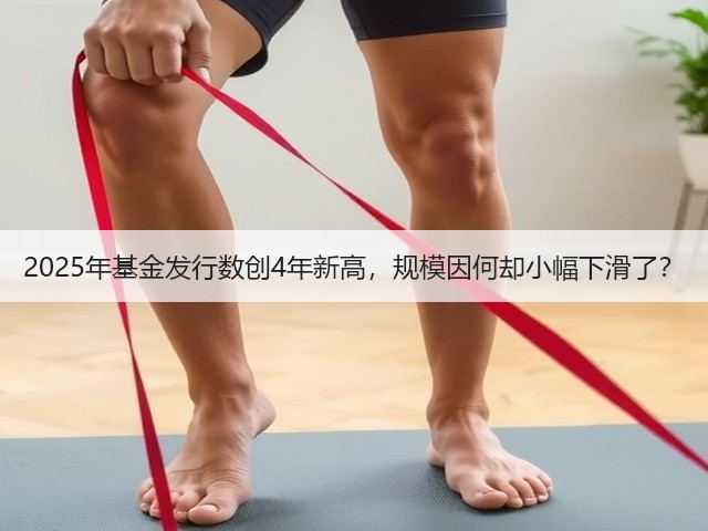 2025年基金发行数创4年新高,规模因何却小幅下滑了?(图2) 2025年基金发行数创4年新高,规模因何却小幅下滑了?(图2)