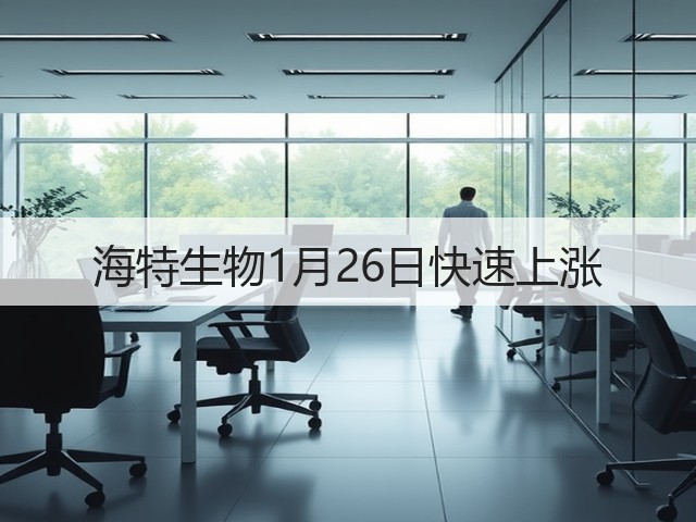 海特生物1月26日快速上涨(图3)