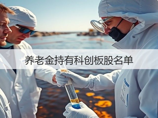 养老金持有科创板股名单(图3) 养老金持有科创板股名单(图3)