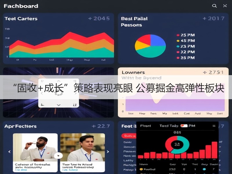 “固收+成长”策略表现亮眼 公募掘金高弹性板块