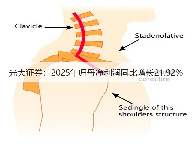 光大证券：2025年归母净利润同比增长21.92%(图2)
