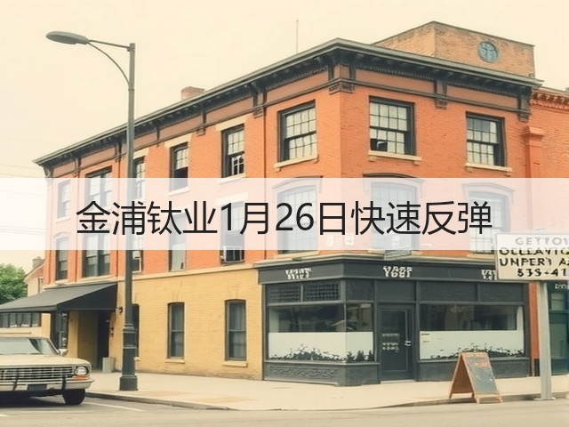 金浦钛业1月26日快速反弹(图3) 金浦钛业1月26日快速反弹(图3)