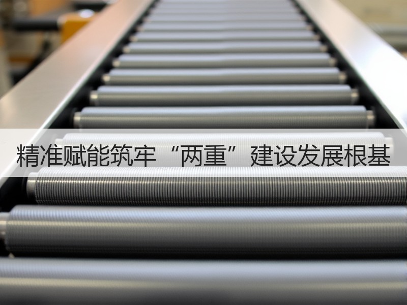 精准赋能筑牢“两重”建设发展根基