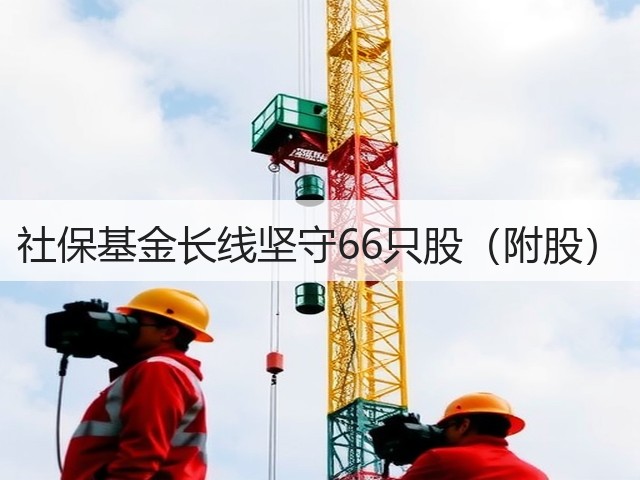 社保基金长线坚守66只股（附股）(图1)