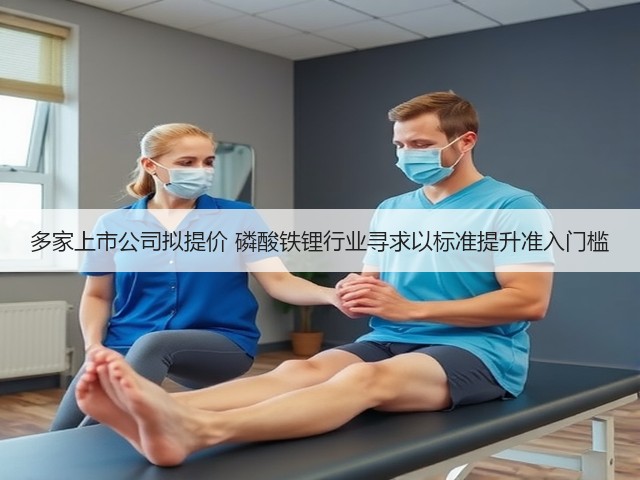 多家上市公司拟提价 磷酸铁锂行业寻求以标准提升准入门槛(图1)