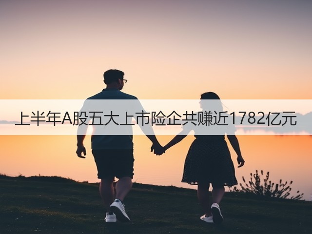 上半年A股五大上市险企共赚近1782亿元(图1) 上半年A股五大上市险企共赚近1782亿元(图1)