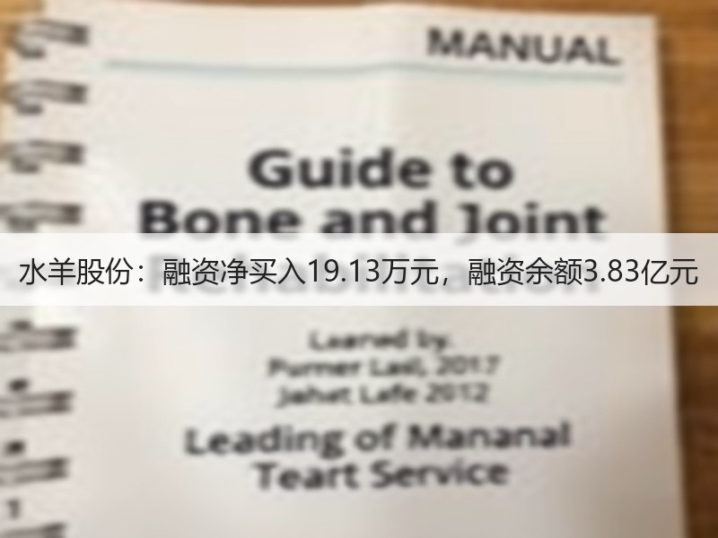 水羊股份：融资净买入19.13万元，融资余额3.83亿元