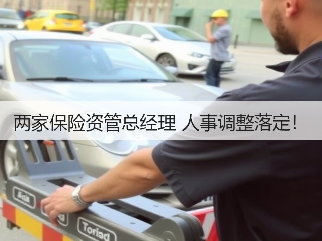 两家保险资管总经理 人事调整落定！(图2)
