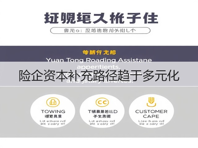 险企资本补充路径趋于多元化(图3)