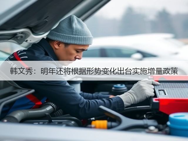 韩文秀：明年还将根据形势变化出台实施增量政策(图3)