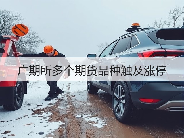 广期所多个期货品种触及涨停(图3) 广期所多个期货品种触及涨停(图3)