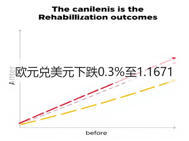 欧元兑美元下跌0.3%至1.1671(图3)