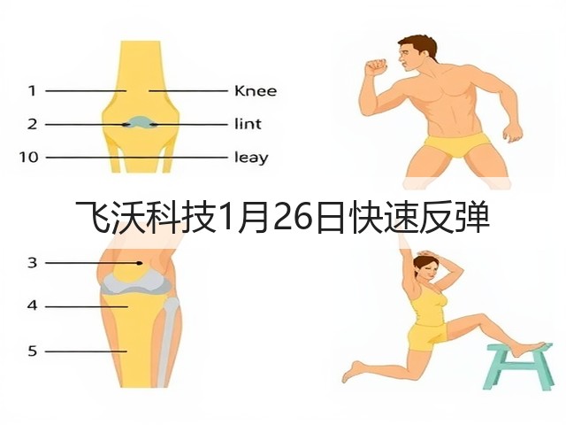 飞沃科技1月26日快速反弹(图3)