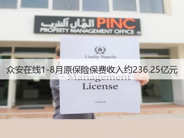众安在线1-8月原保险保费收入约236.25亿元(图3)