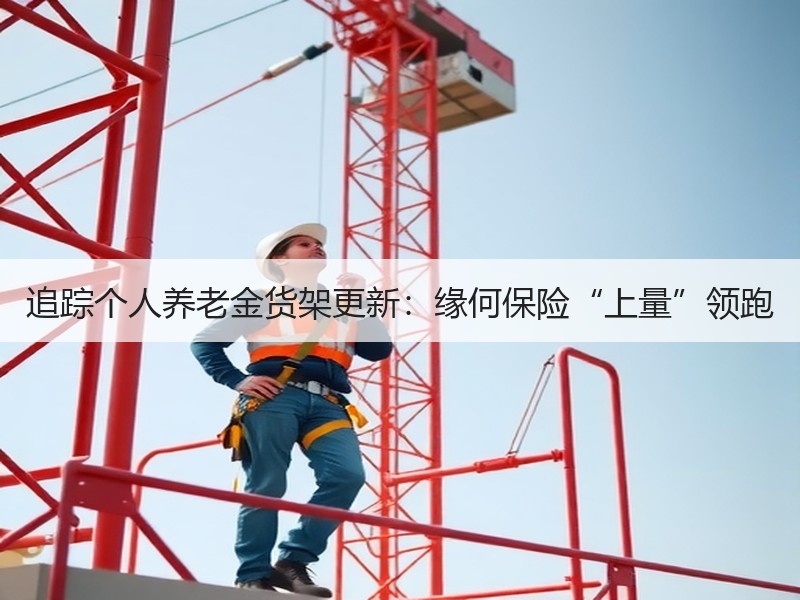 追踪个人养老金货架更新：缘何保险“上量”领跑