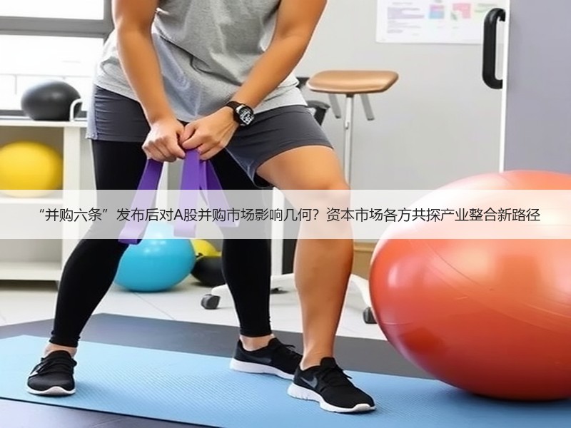 “并购六条”发布后对A股并购市场影响几何？资本市场各方共探产业整合新路径