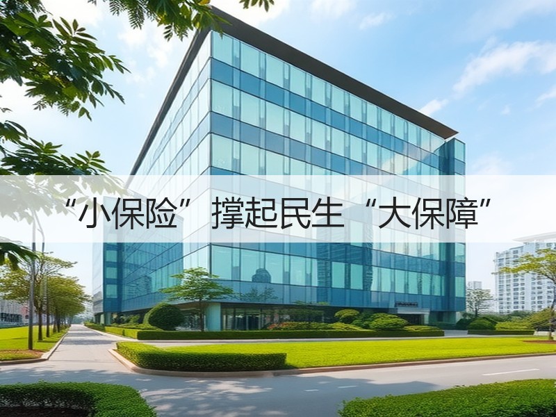 “小保险”撑起民生“大保障”