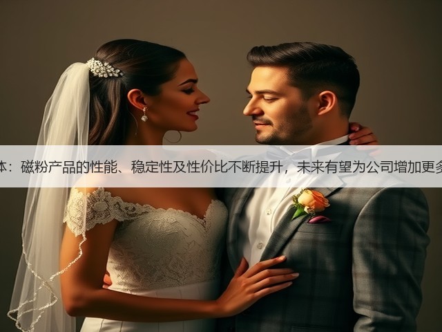 银河磁体：磁粉产品的性能、稳定性及性价比不断提升，未来有望为公司增加更多净利润(图1)