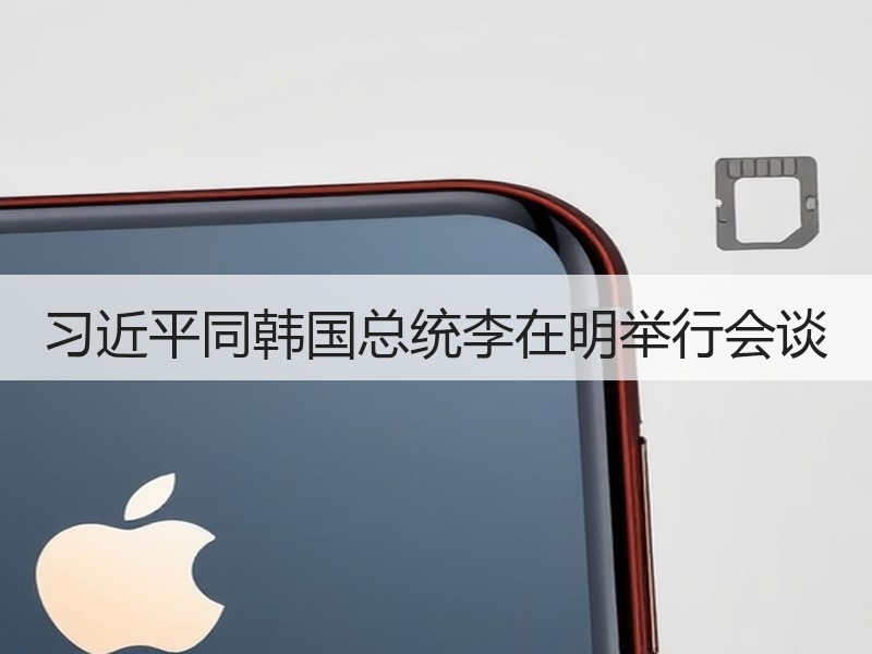 习近平同韩国总统李在明举行会谈