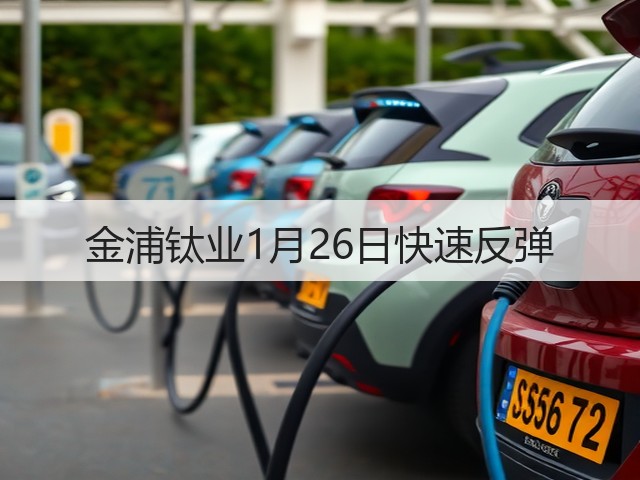 金浦钛业1月26日快速反弹(图1) 金浦钛业1月26日快速反弹(图1)