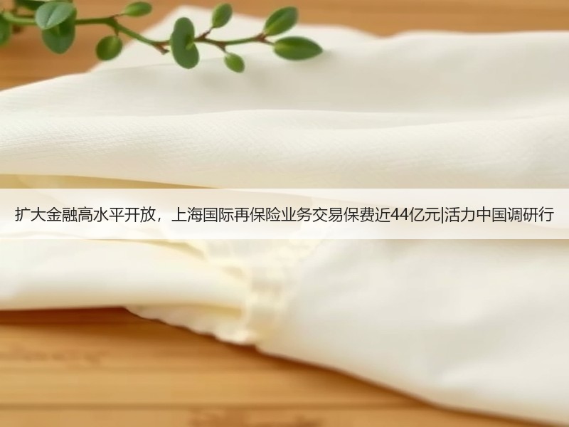 扩大金融高水平开放，上海国际再保险业务交易保费近44亿元|活力中国调研行