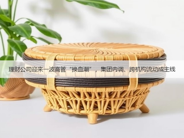 理财公司迎来一波高管“换血潮”，集团内调、跨机构流动成主线(图1)