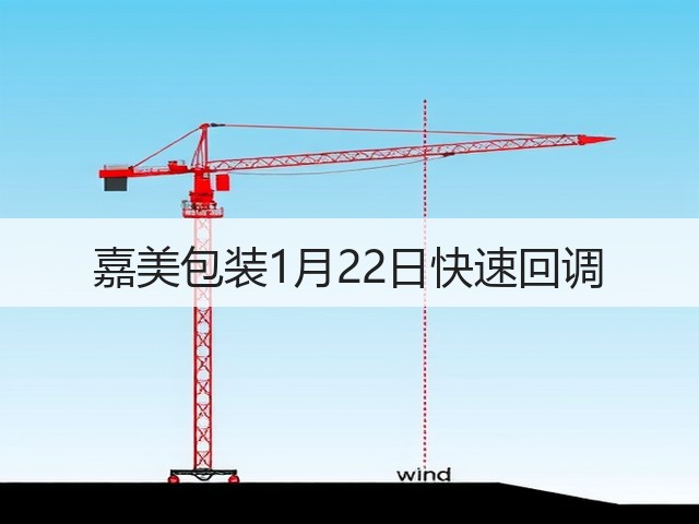 嘉美包装1月22日快速回调(图2)