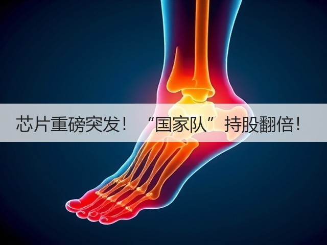 芯片重磅突发!“国家队”持股翻倍!(图1) 芯片重磅突发!“国家队”持股翻倍!(图1)