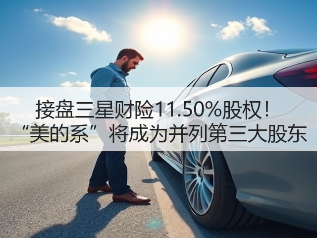接盘三星财险11.50%股权! “美的系”将成为并列第三大股东(图2) 接盘三星财险11.50%股权! “美的系”将成为并列第三大股东(图2)