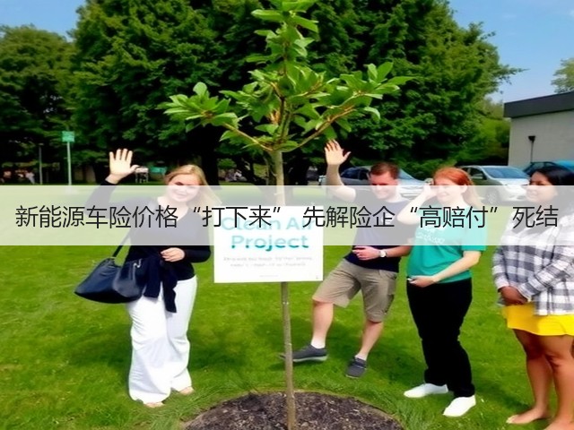 新能源车险价格“打下来” 先解险企“高赔付”死结(图3)