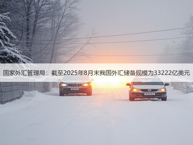 国家外汇管理局:截至2025年8月末我国外汇储备规模为33222亿美元(图3) 国家外汇管理局:截至2025年8月末我国外汇储备规模为33222亿美元(图3)