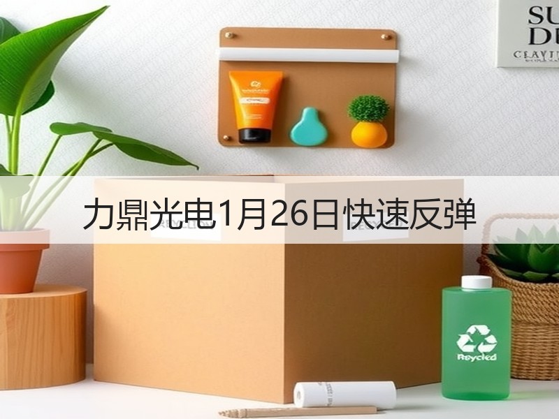 力鼎光电1月26日快速反弹