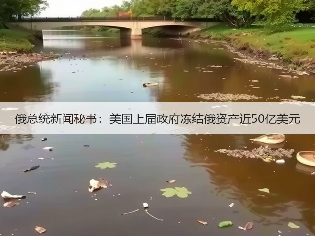 俄总统新闻秘书：美国上届政府冻结俄资产近50亿美元(图1)