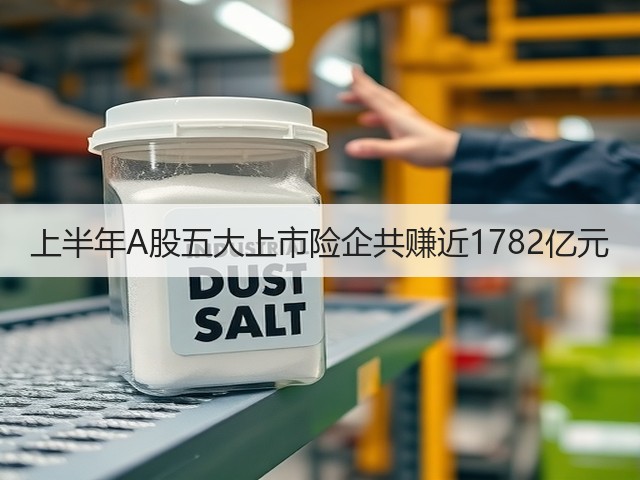 上半年A股五大上市险企共赚近1782亿元(图1) 上半年A股五大上市险企共赚近1782亿元(图1)