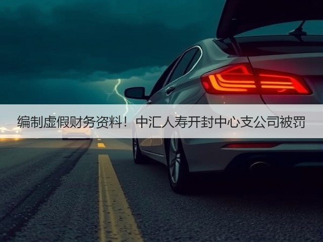 编制虚假财务资料！中汇人寿开封中心支公司被罚(图3)