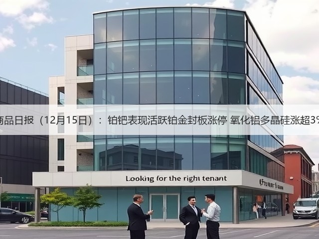 商品日报（12月15日）：铂钯表现活跃铂金封板涨停 氧化铝多晶硅涨超3%(图2)