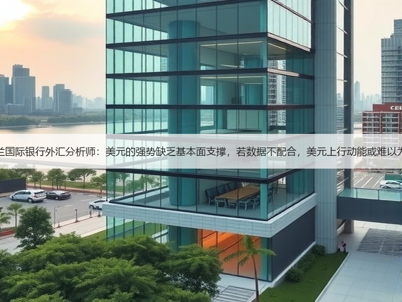 荷兰国际银行外汇分析师：美元的强势缺乏基本面支撑，若数据不配合，美元上行动能或难以为继