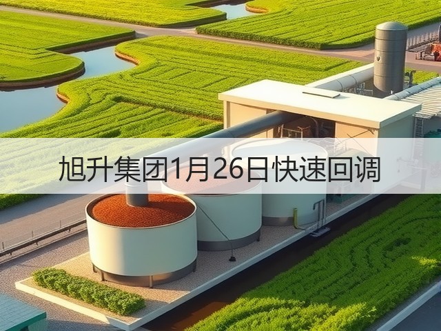 旭升集团1月26日快速回调(图3)