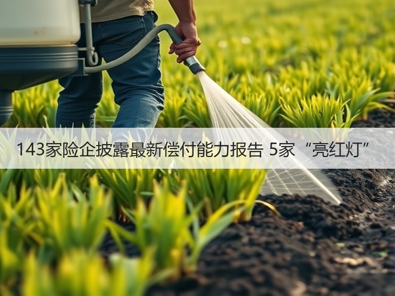 143家险企披露最新偿付能力报告 5家“亮红灯”