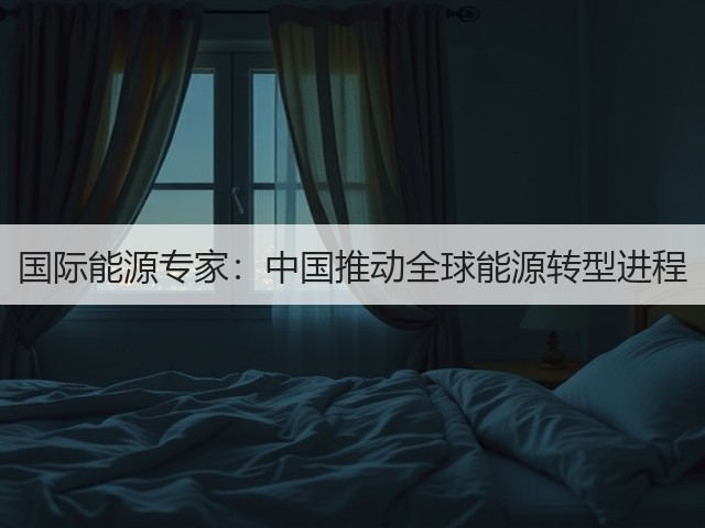 国际能源专家:中国推动全球能源转型进程(图2) 国际能源专家:中国推动全球能源转型进程(图2)