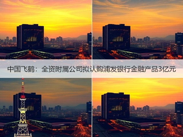 中国飞鹤:全资附属公司拟认购浦发银行金融产品3亿元(图3) 中国飞鹤:全资附属公司拟认购浦发银行金融产品3亿元(图3)