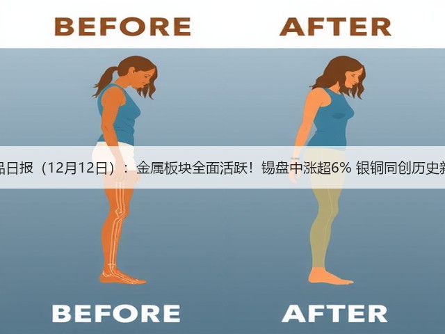 商品日报(12月12日):金属板块全面活跃!锡盘中涨超6% 银铜同创历史新高(图3) 商品日报(12月12日):金属板块全面活跃!锡盘中涨超6% 银铜同创历史新高(图3)