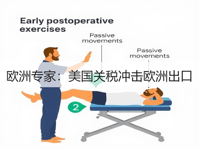 欧洲专家：美国关税冲击欧洲出口(图1)