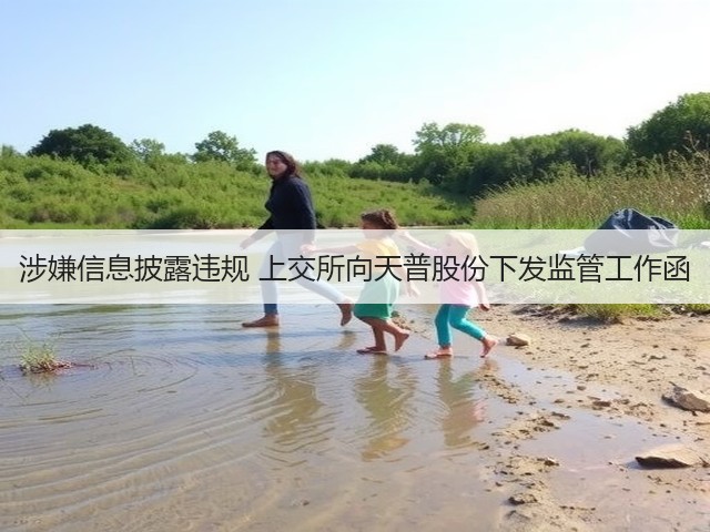 涉嫌信息披露违规 上交所向天普股份下发监管工作函(图3)