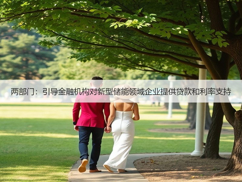 两部门：引导金融机构对新型储能领域企业提供贷款和利率支持
