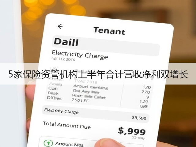 5家保险资管机构上半年合计营收净利双增长(图3) 5家保险资管机构上半年合计营收净利双增长(图3)